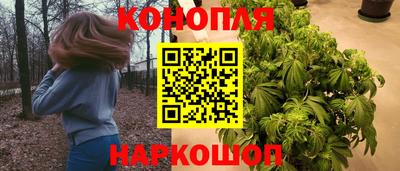 спайс Будённовск