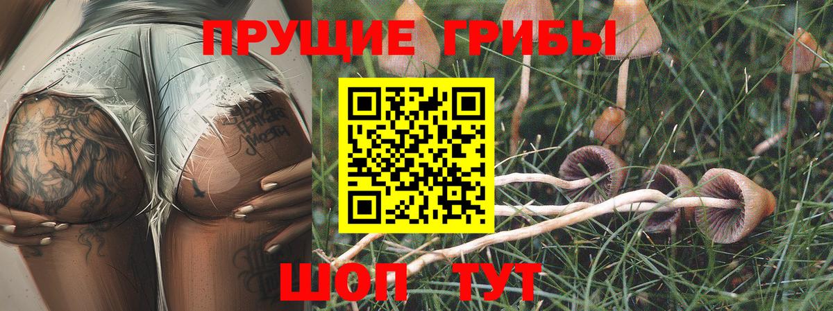 Псилоцибиновые грибы MAGIC MUSHROOMS Красногорск